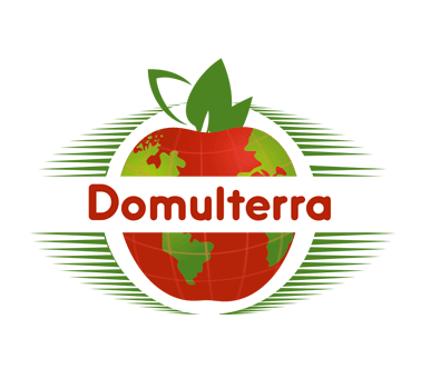 Logo Design Erstellung für Domulterra - Projekt der SBK Studio